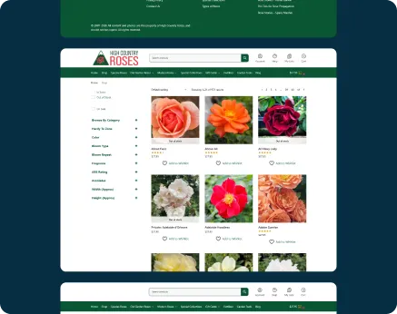 Online Store Case Study