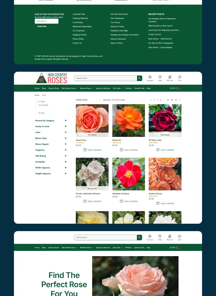 Healthcare website