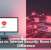 Antivirus vs. Internet Security: Know the Real Difference