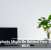 Houseplants Might Be Behind Your Sluggish Wi-Fi