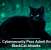 U.S. Cybersecurity Pros Admit Role in BlackCat Attacks